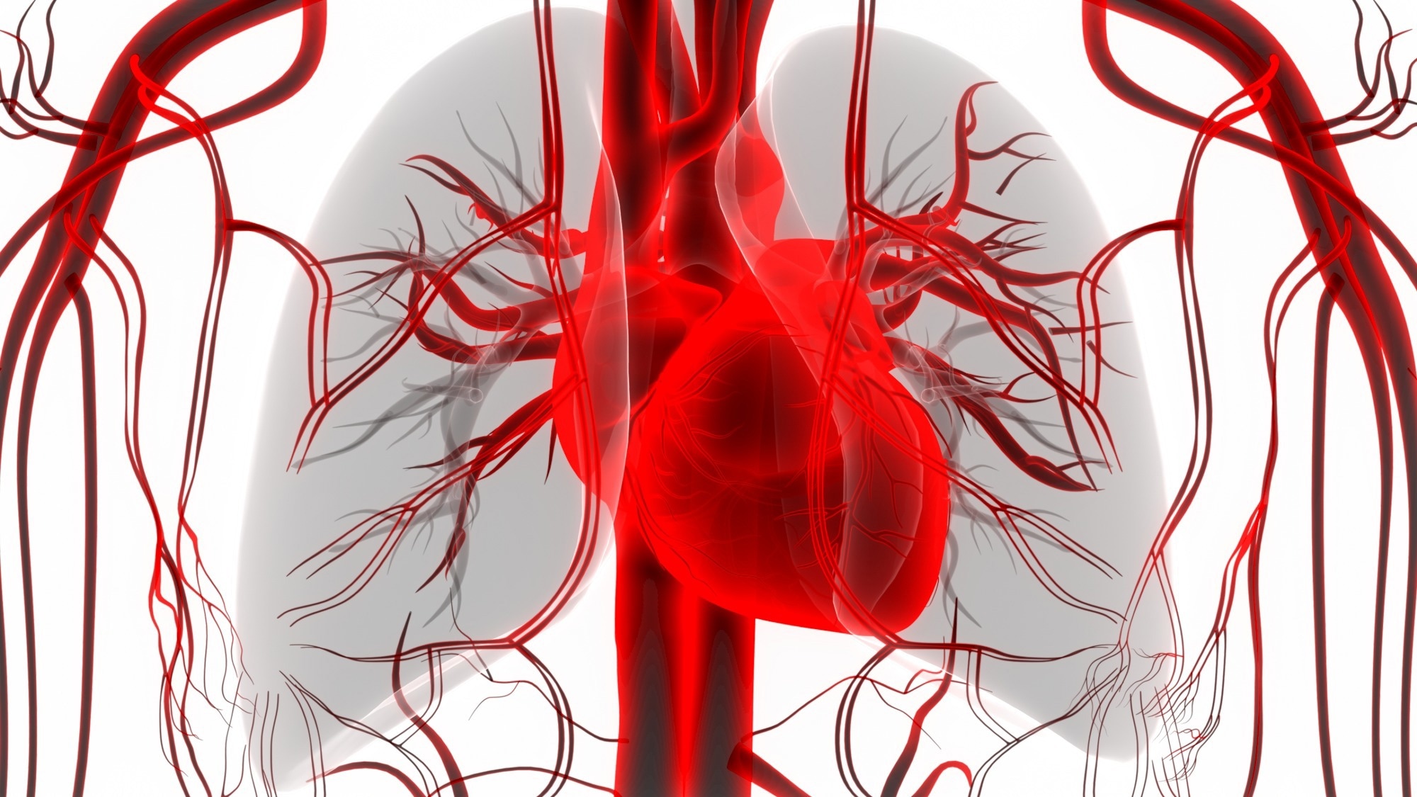 Study: Association of life’s essential 8 score with incidence of atrial fibrillation: The Framingham heart study. Image Credit: Magic mine / Shutterstock