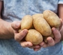 Diabetes risk hinges on how you cook potatoes