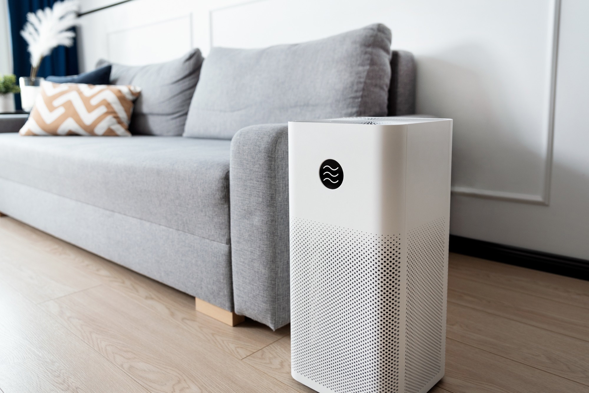 Air purifier, cleaner in living room