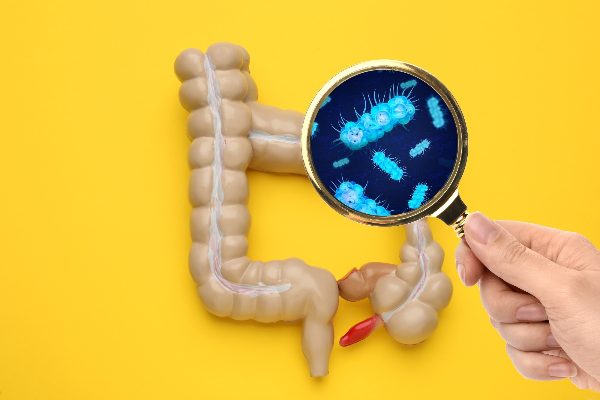 Study: The association of maternal and infant early gut microbiota with respiratory infections in infants. Image Credit: New Africa / Shutterstock