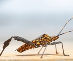 Scientists map kissing bugs beyond the Americas to assess Chagas threat
