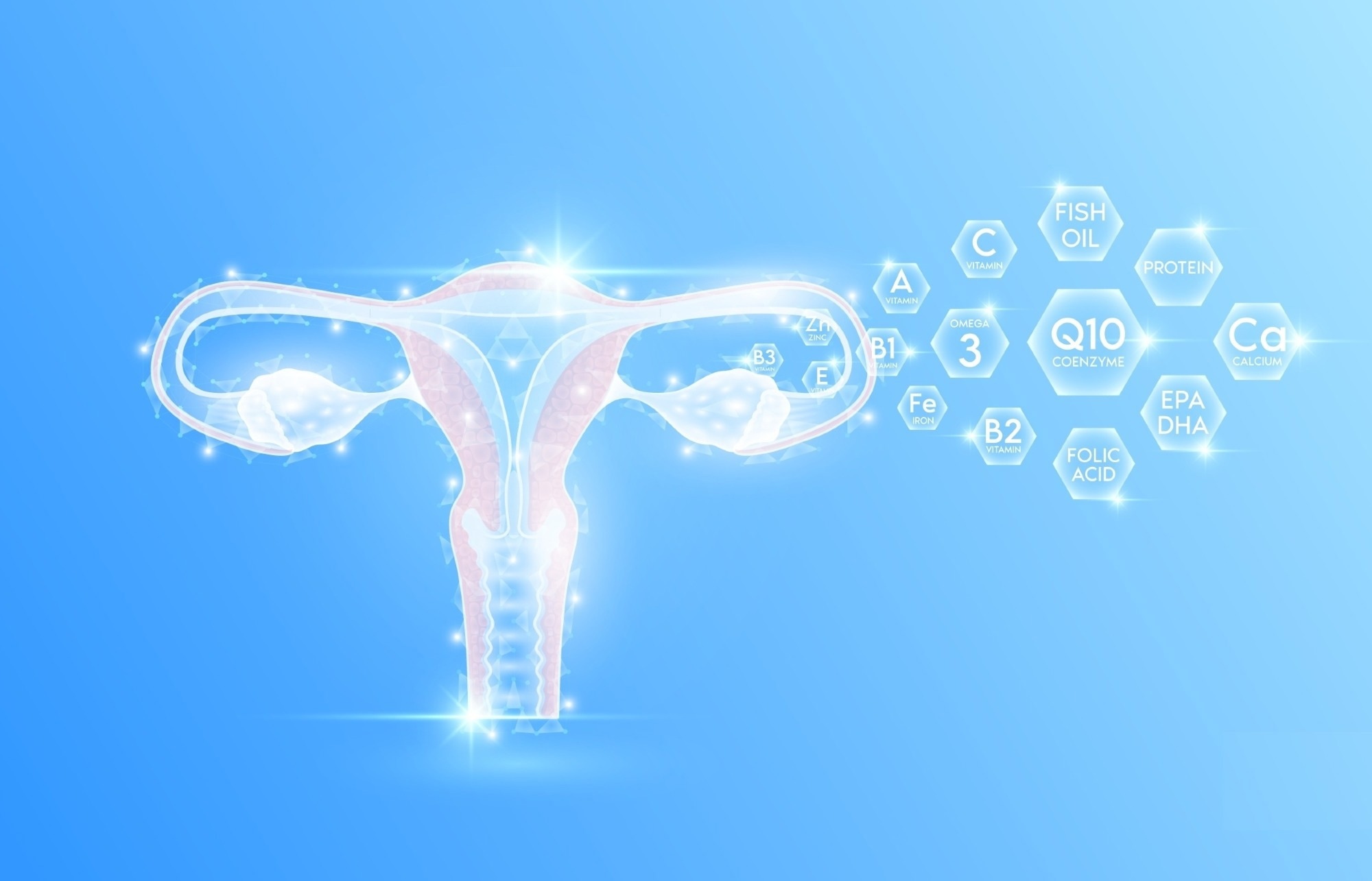 Review: Exploring the protective effects of coenzyme Q10 on female fertility. Image Credit: Adisak Riwkratok / Shutterstock