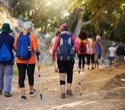 Outdoor walking programs cut frailty in older adults