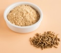 Insect flour could boost gut health and cut environmental impact
