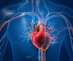 Strong heart health lowers long-term death risk in cancer survivors