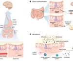 The gut is not just digestive and new evidence shows it actively controls brain function
