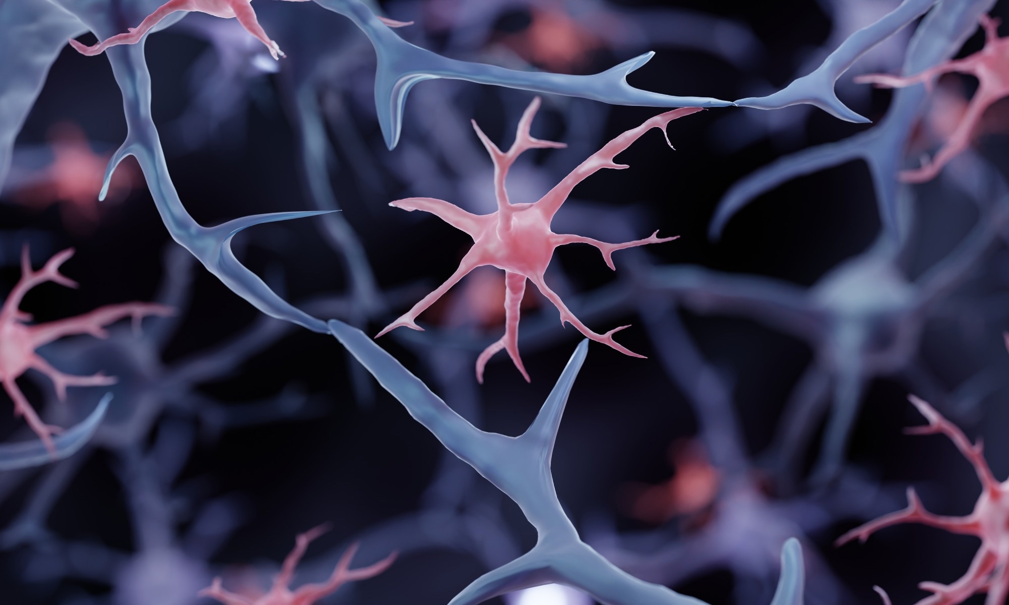 Study: Ageing promotes microglial accumulation of slow-degrading synaptic proteins. Image Credit: ART-ur / Shutterstock
