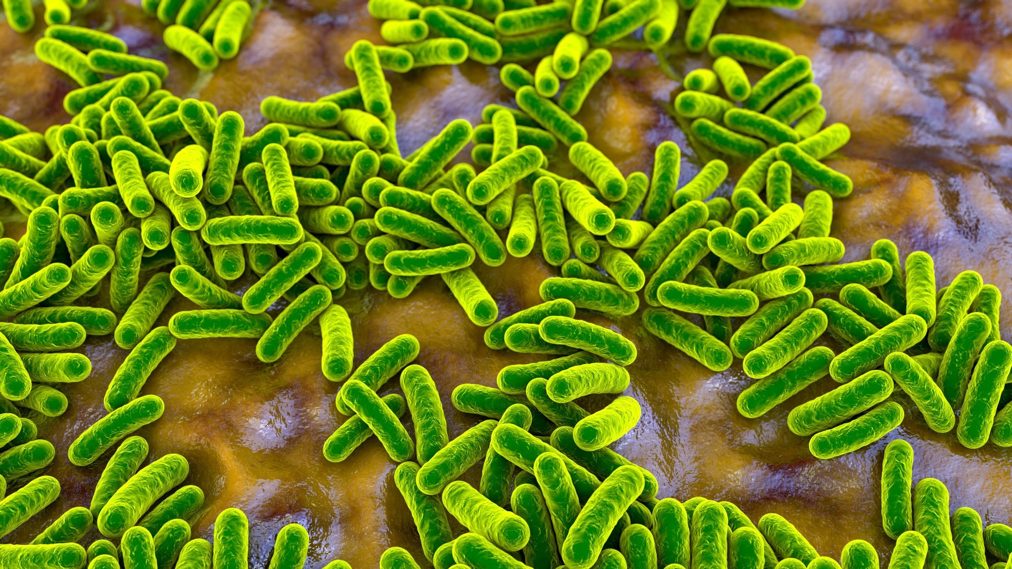 Study: Emerging Roles of Modern Lifestyle Factors in Microbiome Stability and Functionality. Image Credit: Kateryna Kon / Shutterstock