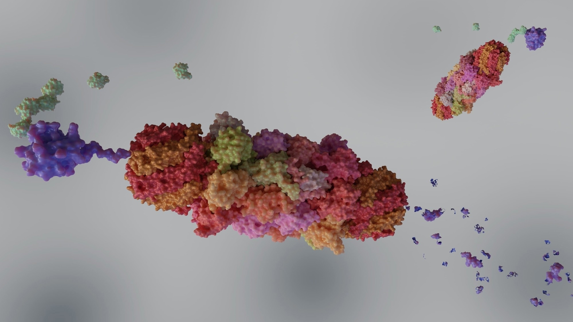 Proteasomes are molecular machines for breaking down proteins called proteolysis, only target proteins that have been marked for destruction called ubiquitin to the target protein, 3d rendering