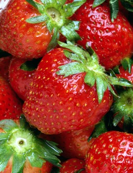 Researchers specializing in the health benefits of plant compounds have shown that quercetin, a phytonutrient found in abundance in strawberries and other fruits, can induce programmed self-destruction of human cancer cells.