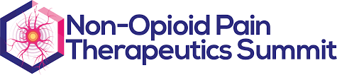 Hanson Wade Group - Non-Opioid Pain Therapeutics Summit