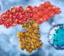 New antibody drug conjugates can transform early HER2-positive breast cancer treatment