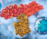 Antibody discovery could provide new treatment options for aggressive breast cancers
