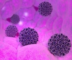 What is HPV?