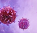 Study uncovers how a specific immune cell may contribute to HIV persistence