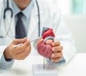 New $8.5 million renewal grant fuels research on children's heart health