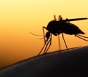 Rwanda confronts a surprising surge in malaria
