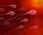 How is Male Infertility Diagnosed?