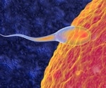 Surprise finding about male infertility