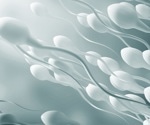 Study uncovers key protein complex controlling sperm motility and male fertility