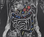 Research reveals how the gut microbiome supports successful pregnancy