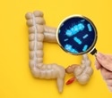 Gut bacteria produce immune-boosting compounds in response to tetracyclines