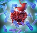 Gut bacteria compound during pregnancy protects offspring from fatty liver disease
