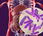 Gut bacteria produce immune-boosting compounds in response to tetracyclines