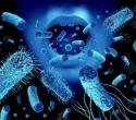 Genes influence the gut microbiome beyond the individual