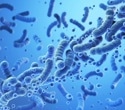 Probiotic supplementation restores beneficial gut bacteria in breastfed infants