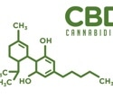 Investigating cannabidiol's role in combating Alzheimer's-related neuroinflammation