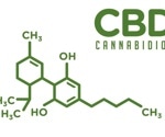 Cannabidiol may help prevent paclitaxel-induced peripheral neuropathy