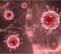 Scientists develop promising new drug candidates against coronaviruses