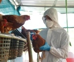 Study reveals new H5N1 variants evade human antibodies more effectively
