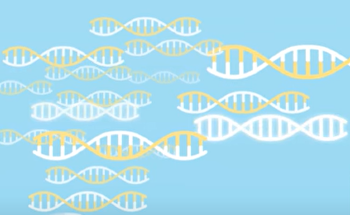 Introduction to qPCR