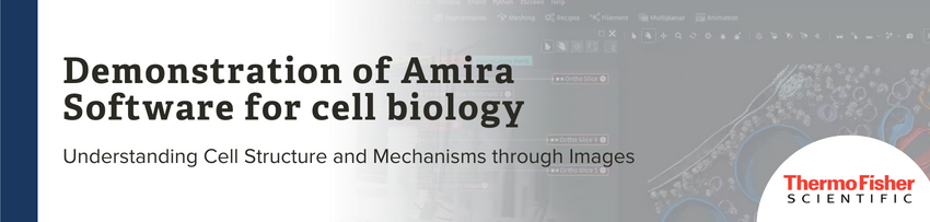 Demonstration of Amira Software for cell biology