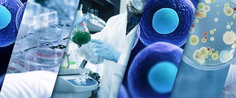 Smart Cell Monitoring: Resolving the Changing Needs Of Cellular Research with Continuous Live-Cell Analysis