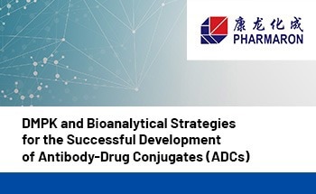Strategies for the successful development of antibody drug conjugates